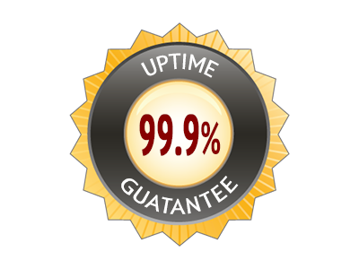 Garant&iacute;a de Funcionamiento del Servidor del 99.9%