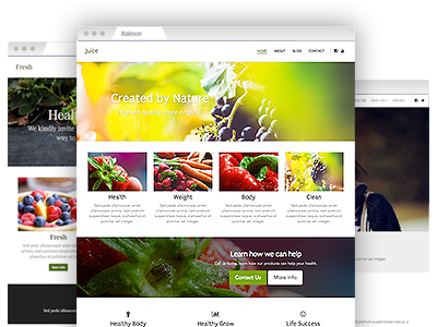 An array of easy&ndash;to&ndash;re&ndash;design website themes